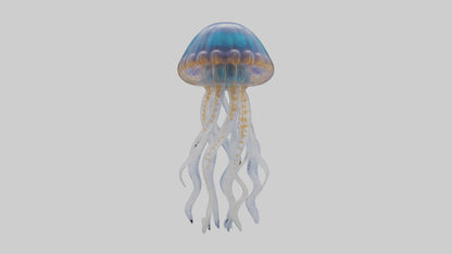 3D model Jellyfish statue model VR / AR / low-poly