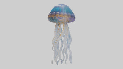 3D model Jellyfish statue model VR / AR / low-poly