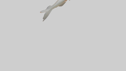 Jellynose Fish gliding model VR / AR / low-poly