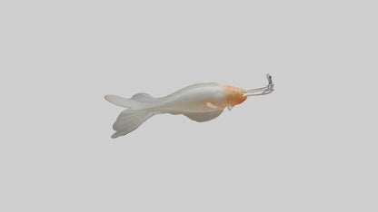 Jellynose Fish gliding model VR / AR / low-poly