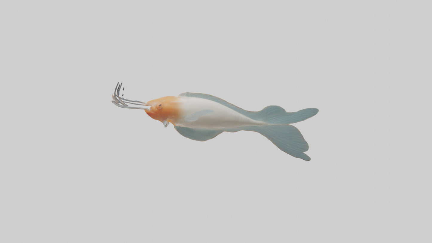 Jellynose Fish gliding model VR / AR / low-poly