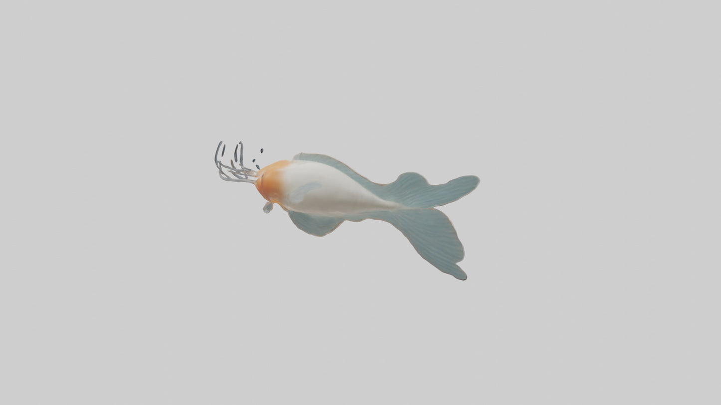 Jellynose Fish gliding model VR / AR / low-poly