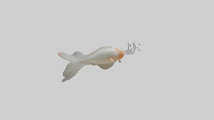 Jellynose Fish gliding model VR / AR / low-poly