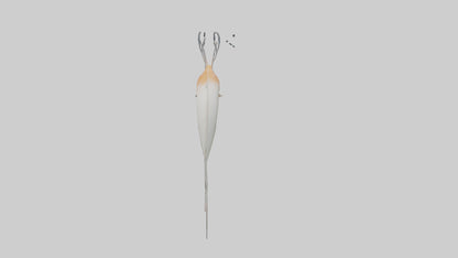 Jellynose Fish gliding model VR / AR / low-poly
