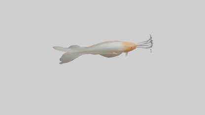 Jellynose Fish gliding model VR / AR / low-poly