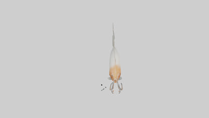 Jellynose Fish gliding model VR / AR / low-poly