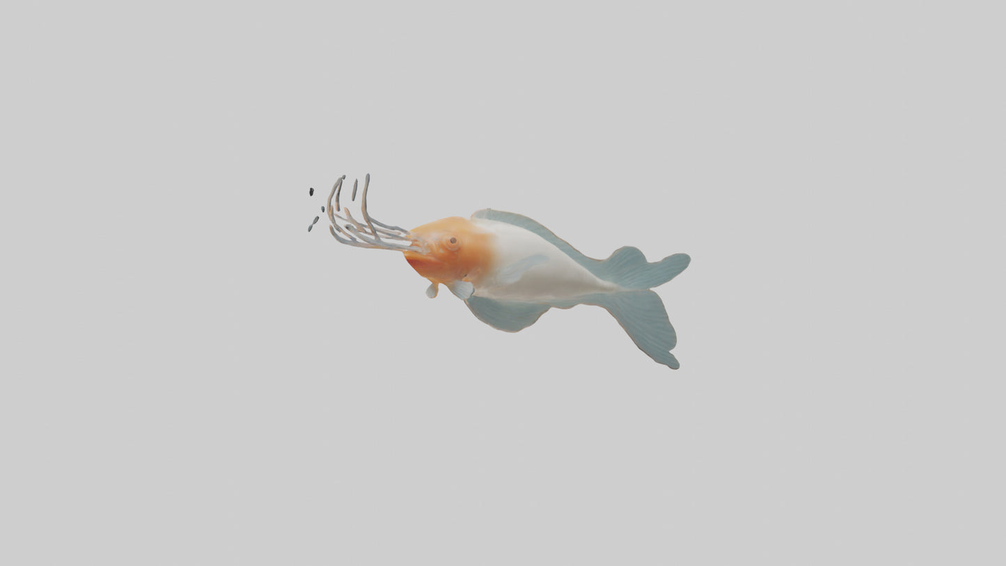 Jellynose Fish gliding model VR / AR / low-poly