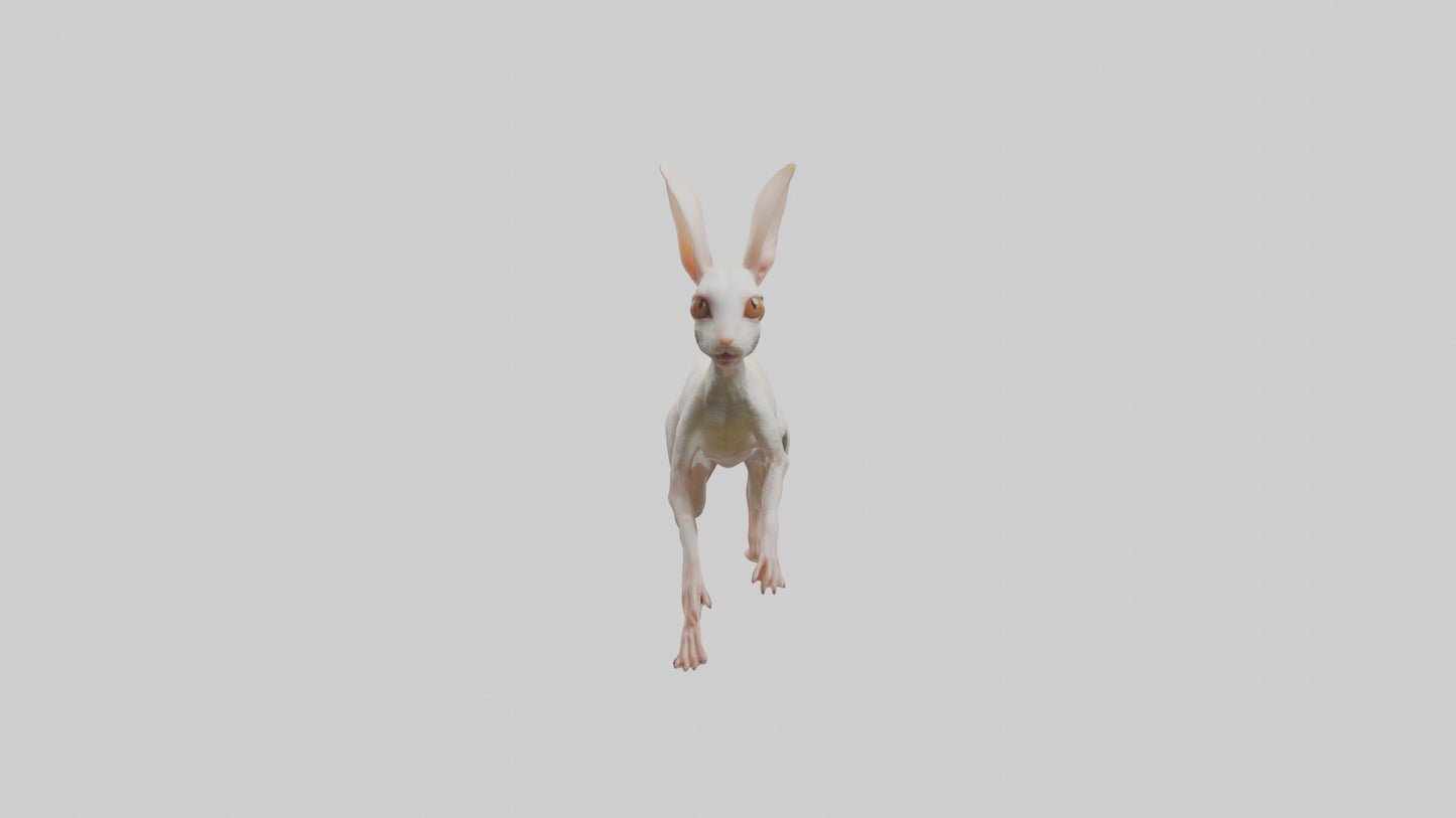 3D model Jerboa hopping model VR / AR / low-poly