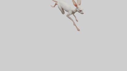 3D model Jerboa hopping model VR / AR / low-poly
