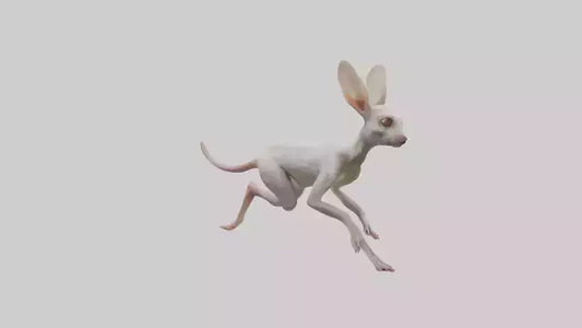 3D model Jerboa hopping model VR / AR / low-poly
