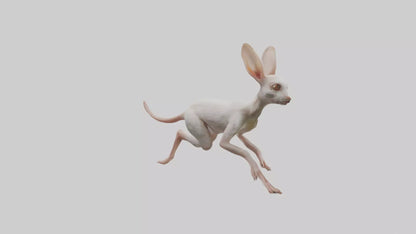 3D model Jerboa hopping model VR / AR / low-poly