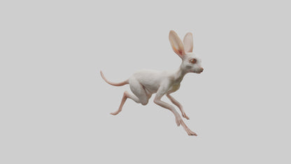 3D model Jerboa hopping model VR / AR / low-poly