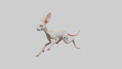 3D model Jerboa hopping model VR / AR / low-poly