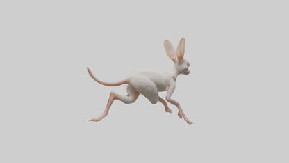 3D model Jerboa hopping model VR / AR / low-poly