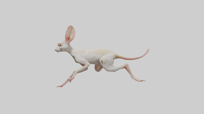 3D model Jerboa hopping model VR / AR / low-poly