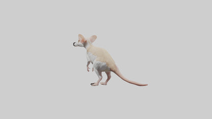 Jerboa standing upright model VR / AR / low-poly