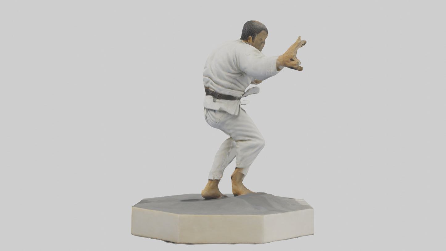 JiuJitsu Fighter statue model VR / AR / low-poly