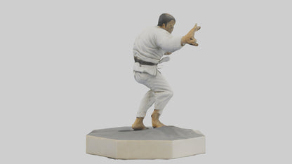 JiuJitsu Fighter statue model VR / AR / low-poly