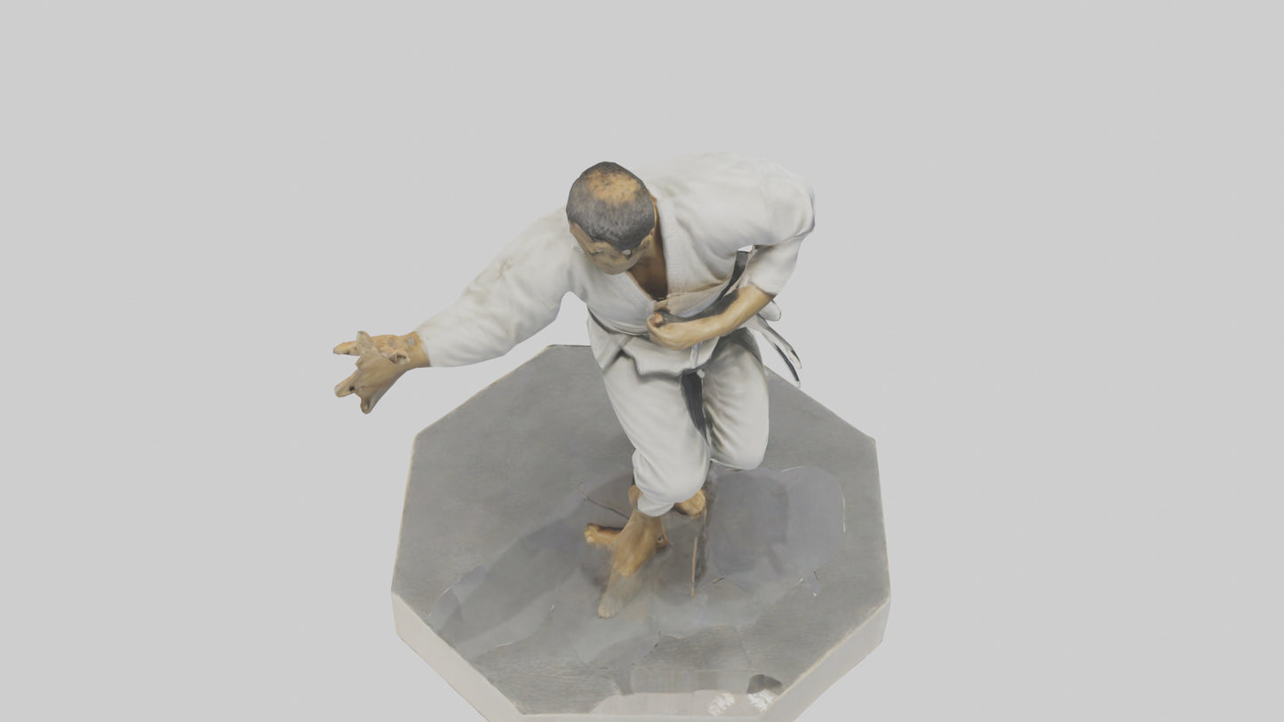 JiuJitsu Fighter statue model VR / AR / low-poly