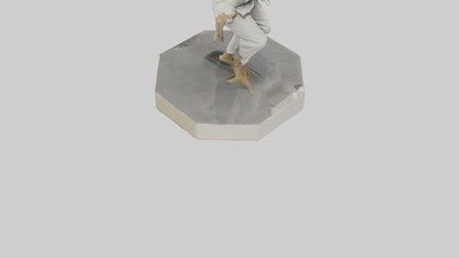 JiuJitsu Fighter statue model VR / AR / low-poly