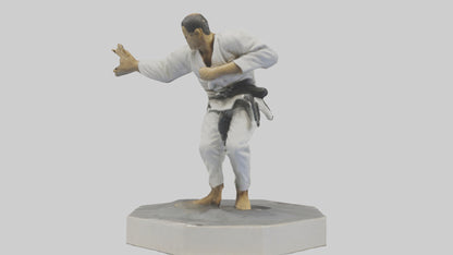 JiuJitsu Fighter statue model VR / AR / low-poly