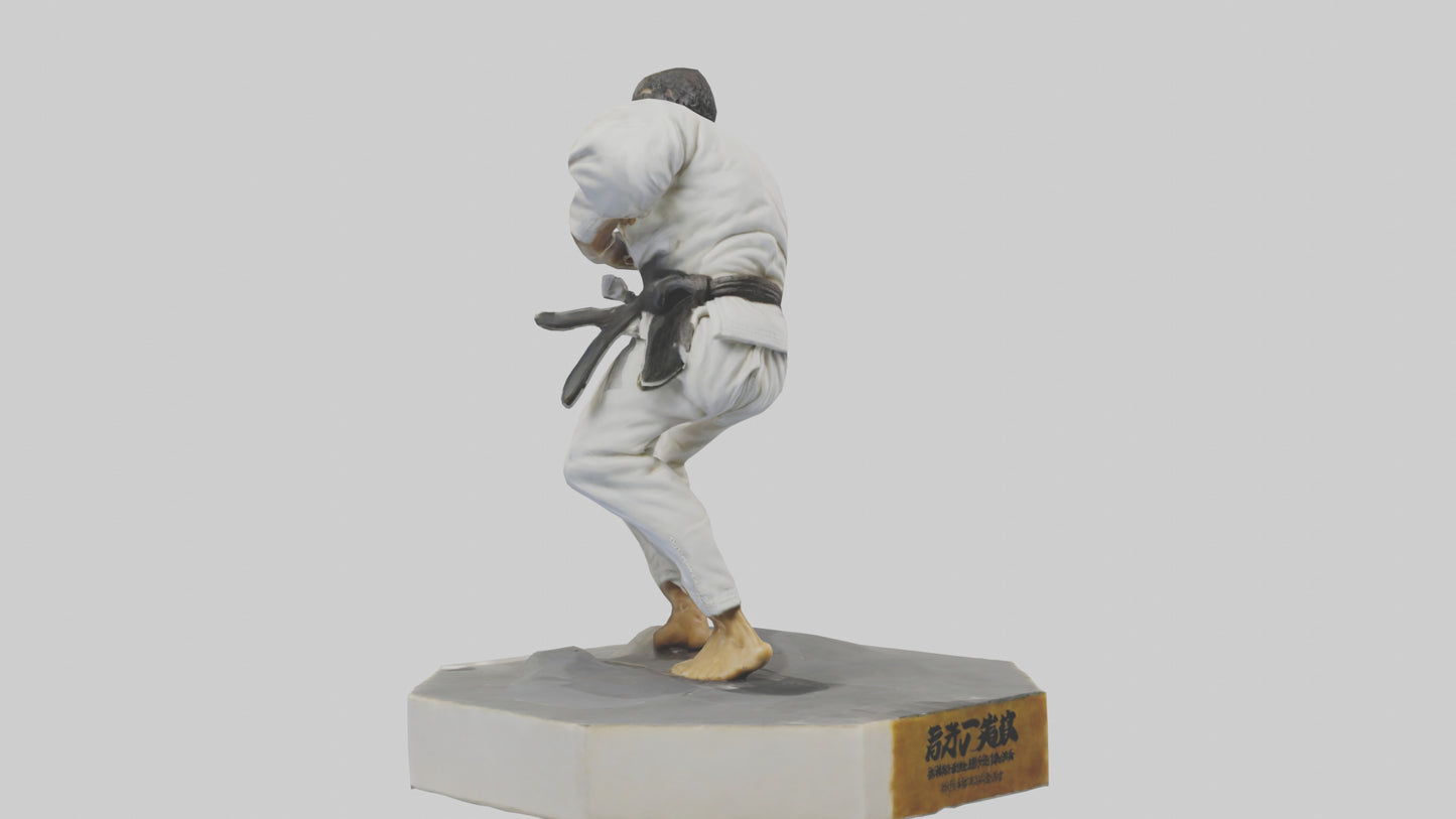 JiuJitsu Fighter statue model VR / AR / low-poly