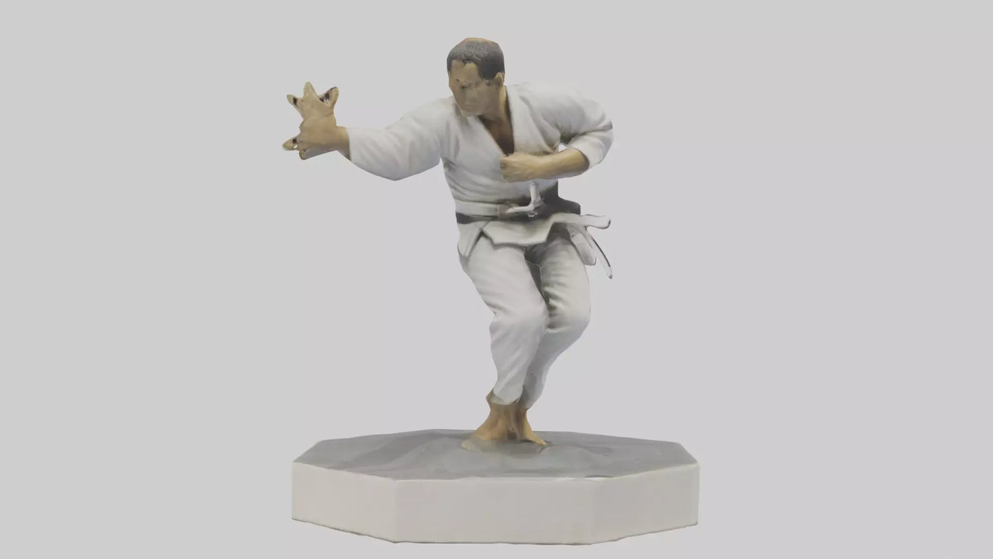 JiuJitsu Fighter statue model VR / AR / low-poly