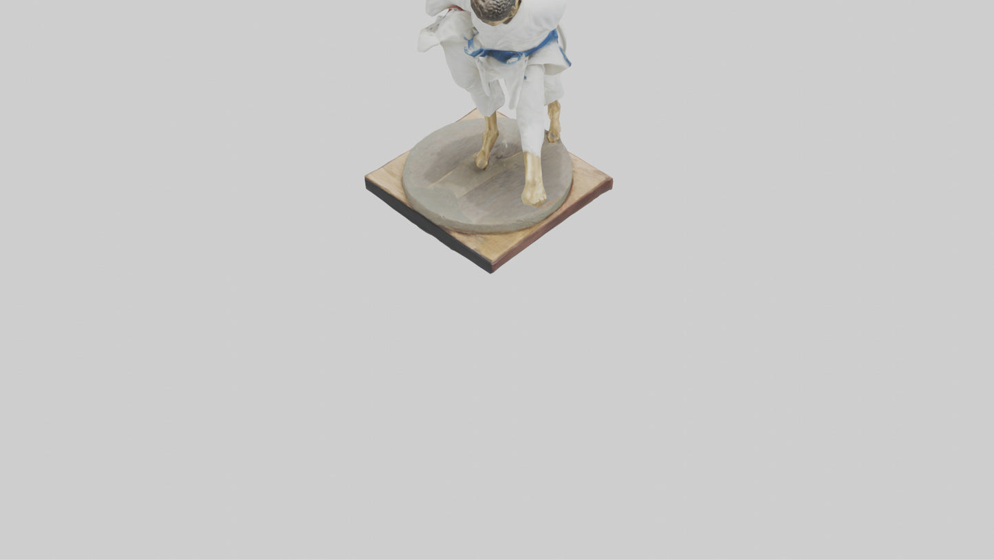 Judo Throw statue model VR / AR / low-poly