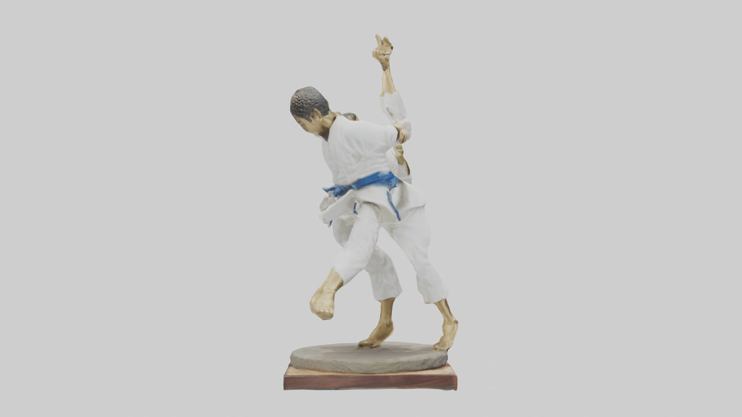 Judo Throw statue model VR / AR / low-poly