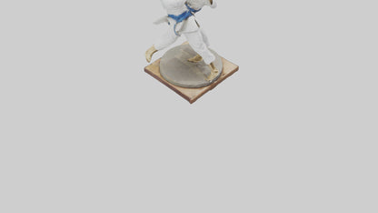 Judo Throw statue model VR / AR / low-poly