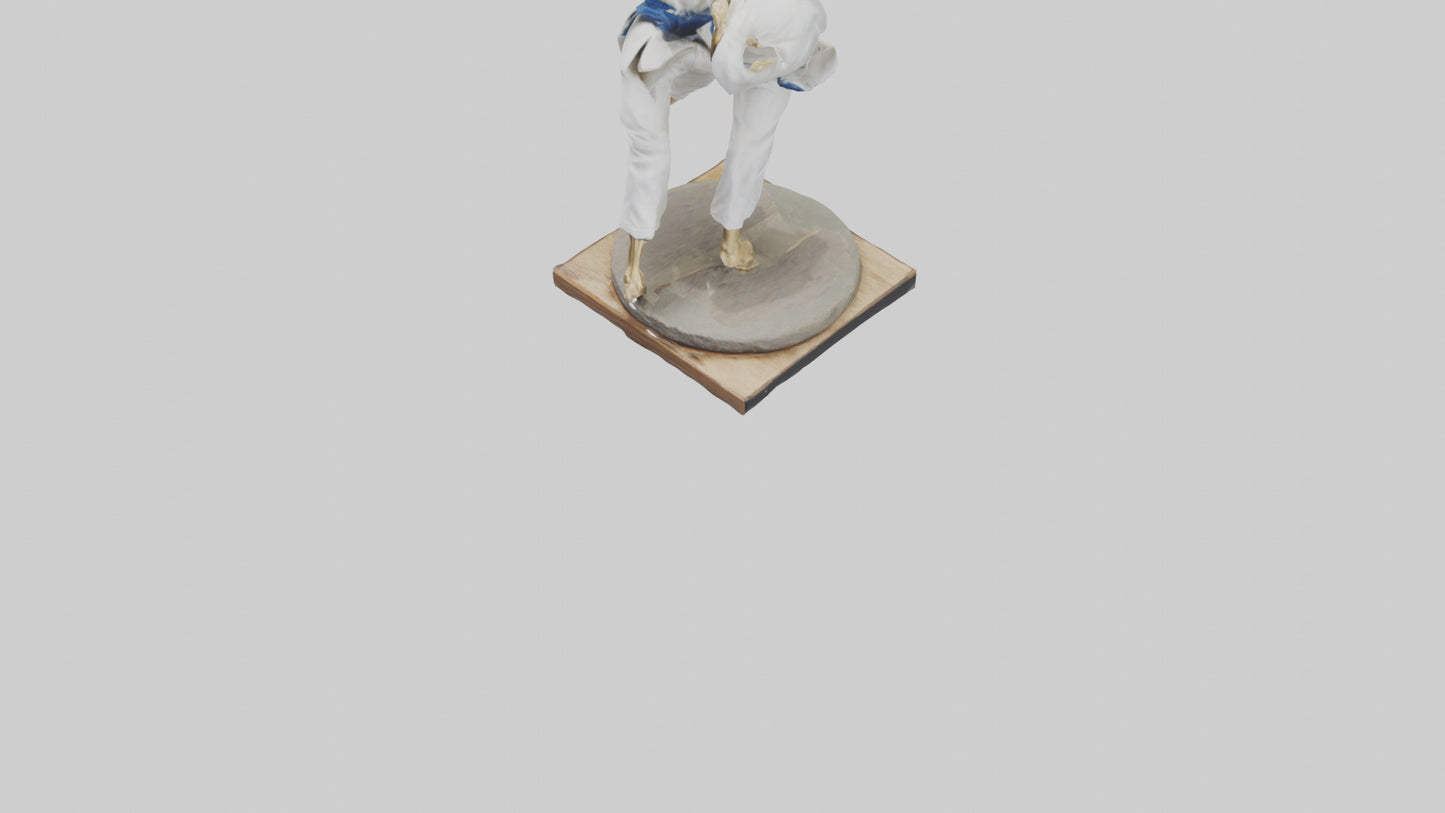 Judo Throw statue model VR / AR / low-poly