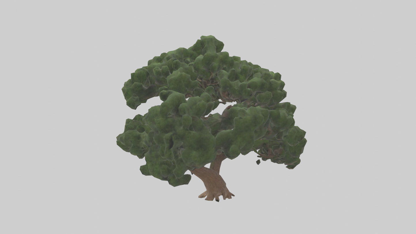 Juniper tree model VR / AR / low-poly