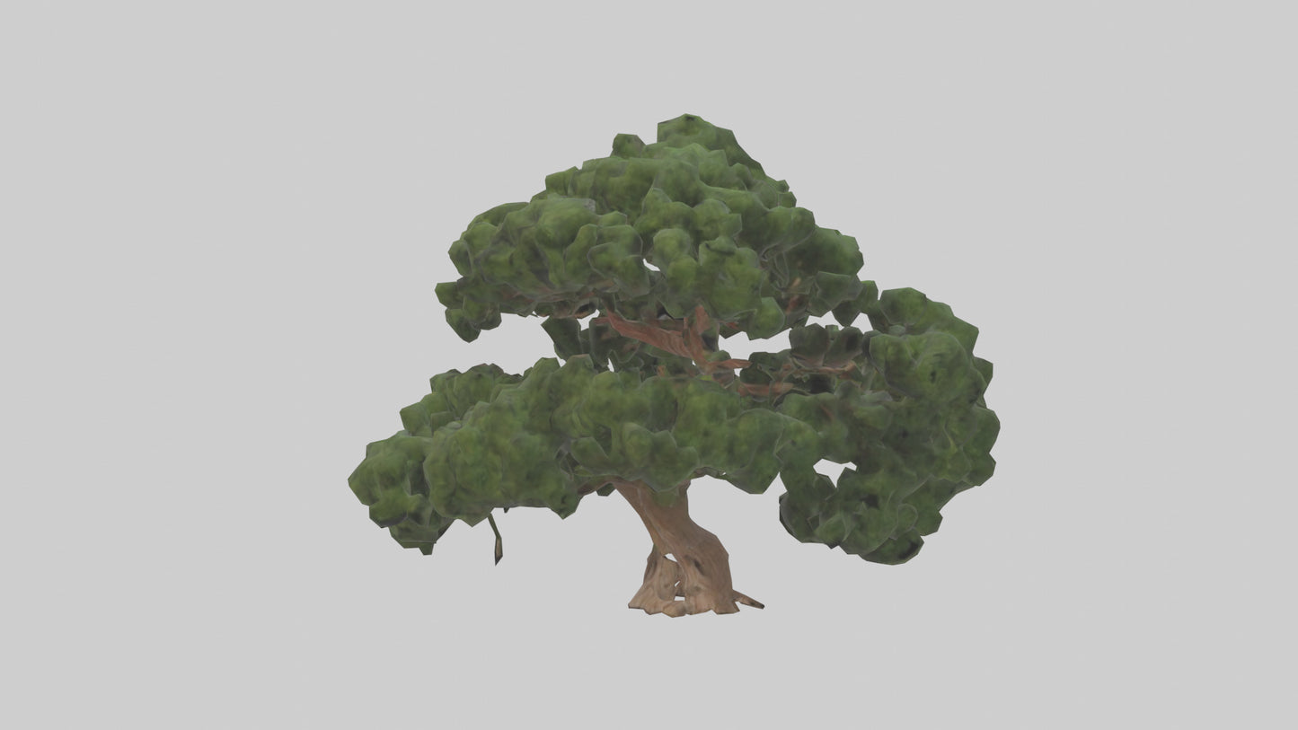 Juniper tree model VR / AR / low-poly
