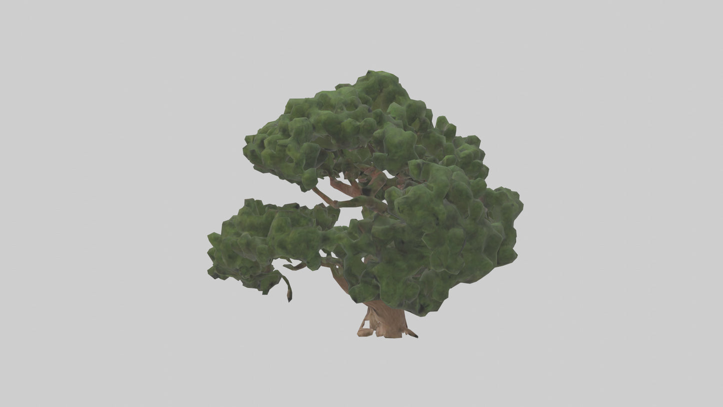 Juniper tree model VR / AR / low-poly