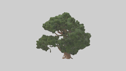 Juniper tree model VR / AR / low-poly