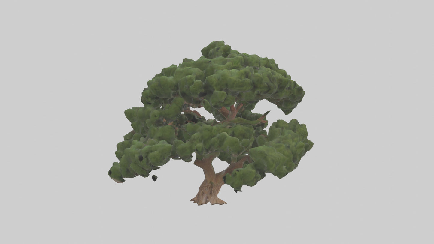 Juniper tree model VR / AR / low-poly