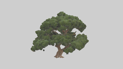Juniper tree model VR / AR / low-poly