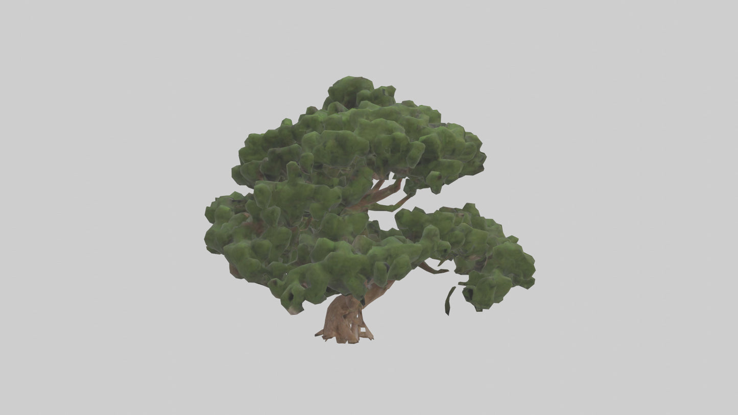Juniper tree model VR / AR / low-poly