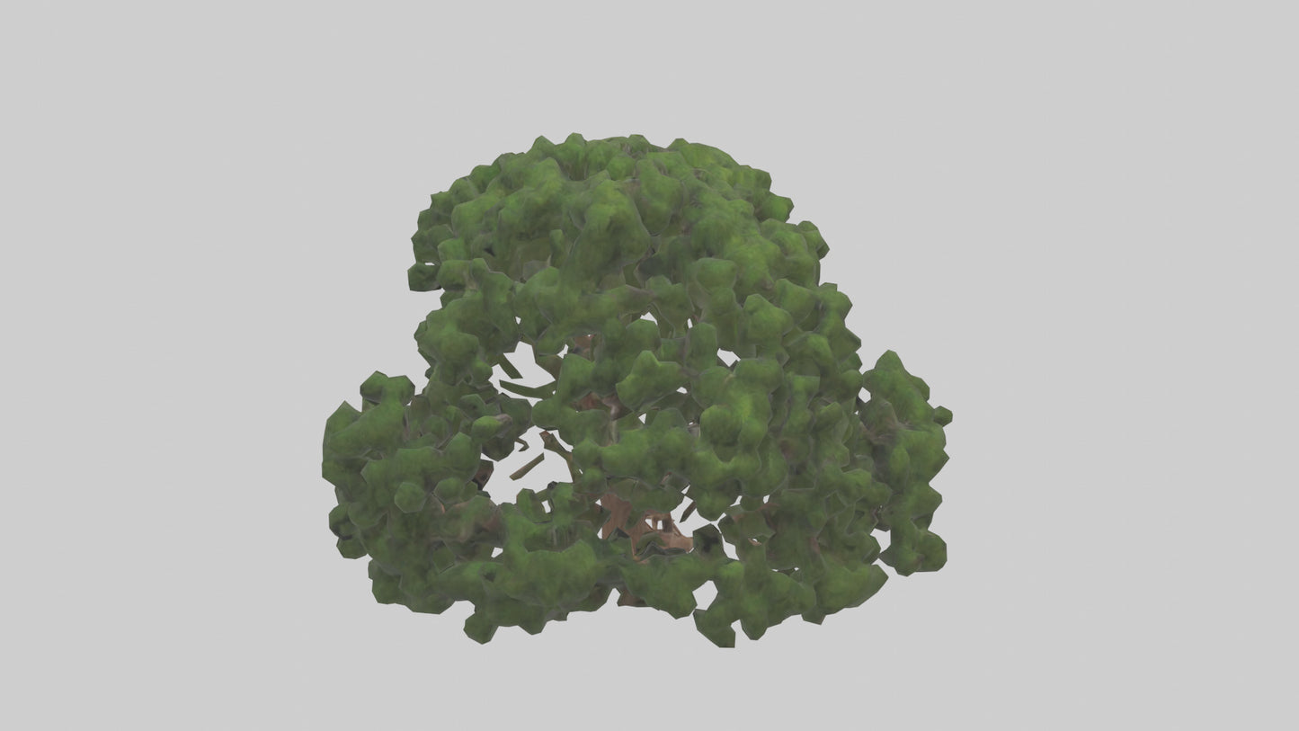 Juniper tree model VR / AR / low-poly