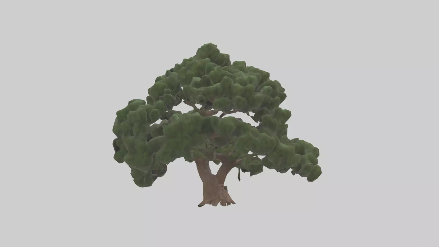 Juniper tree model VR / AR / low-poly
