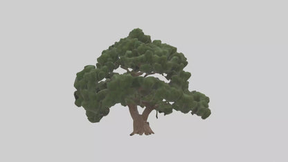 Juniper tree model VR / AR / low-poly