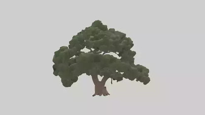 Juniper tree model VR / AR / low-poly