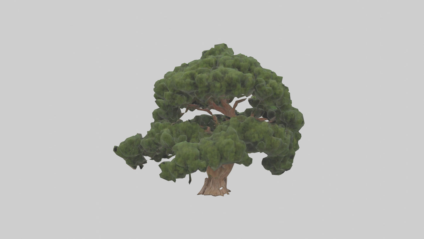 Juniper tree model VR / AR / low-poly