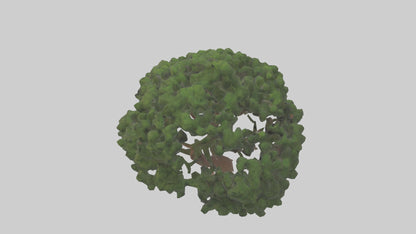 Juniper tree model VR / AR / low-poly