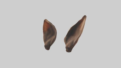 3D model Kangaroo Ears VR / AR / low-poly