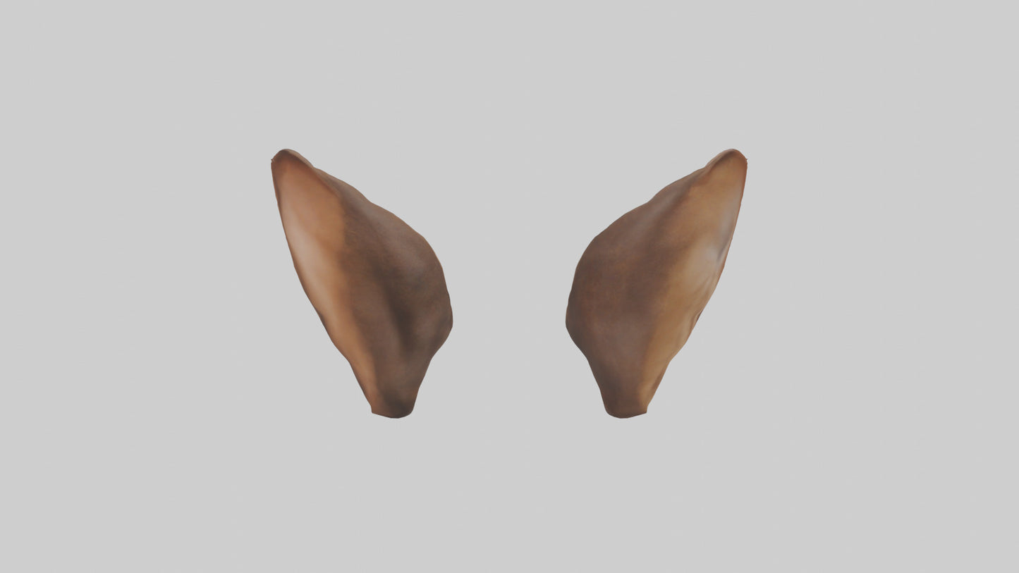3D model Kangaroo Ears VR / AR / low-poly