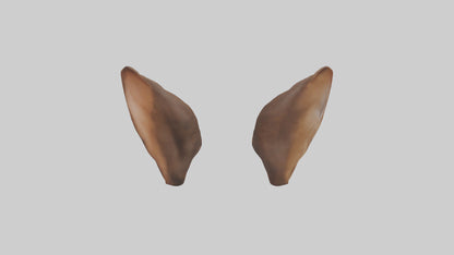 3D model Kangaroo Ears VR / AR / low-poly
