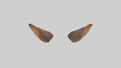 3D model Kangaroo Ears VR / AR / low-poly