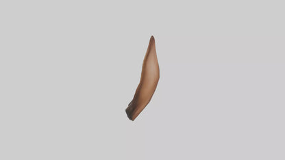 3D model Kangaroo Ears VR / AR / low-poly