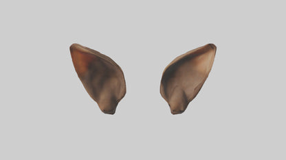 3D model Kangaroo Ears VR / AR / low-poly